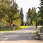 UT101892-31485-Kokardebloemlaan-11,-Vleuten-246594406