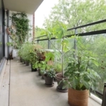 UT101947-30404-Mercuriusweg-31,-Delft-243540174