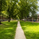 UT101979-32139-Adelboldstraat-52,-Utrecht-247801476